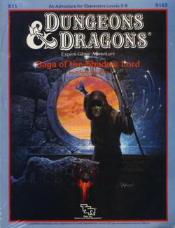 Dungeons and Dragons, Saga of the Shadowlord. A very heavy metal cover.